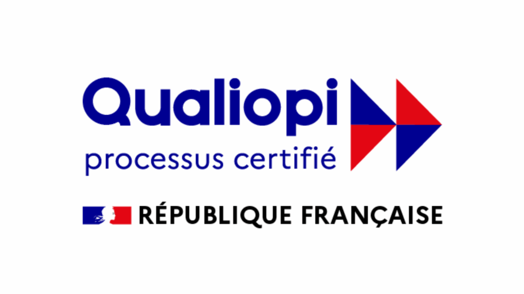 N1 de la formation en ligne